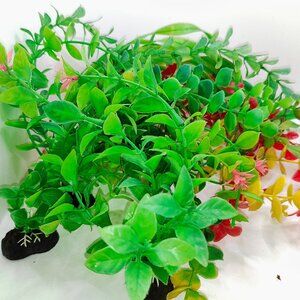 An bunch of used aqaurium plants